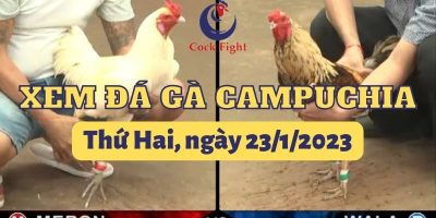 da-ga-thomo-23-1-2023