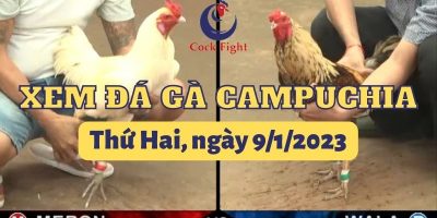 da-ga-thomo-9-1-2023