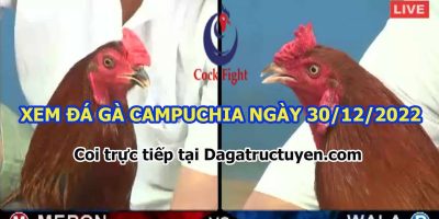 daga-t12-30-2022