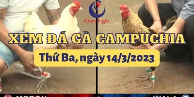 da-ga-truc-tiep-14-3-2023