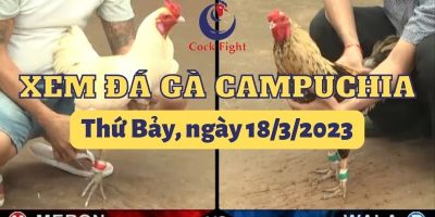 da-ga-truc-tiep-18-3-2023
