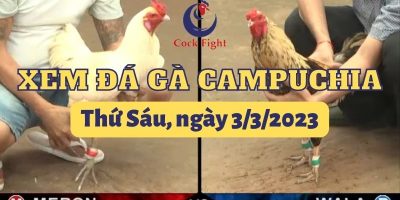 da-ga-truc-tiep-3-3-2023