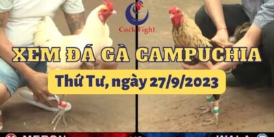 da-ga-truc-tuyen-27-9-2023