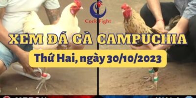 da-ga-truc-tuyen-30-10-2023
