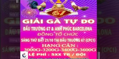 vo-dich-giai-ga-tu-do 1-10-2023 (1)
