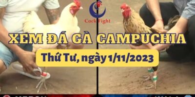 da-ga-truc-tuyen-1-11-2023