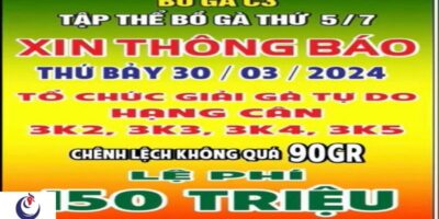 giai-da-ga-30-3-2024